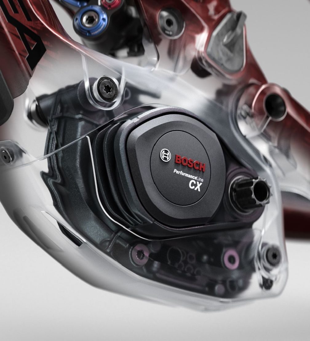 02 bosch wildst25 1000x1100 my26