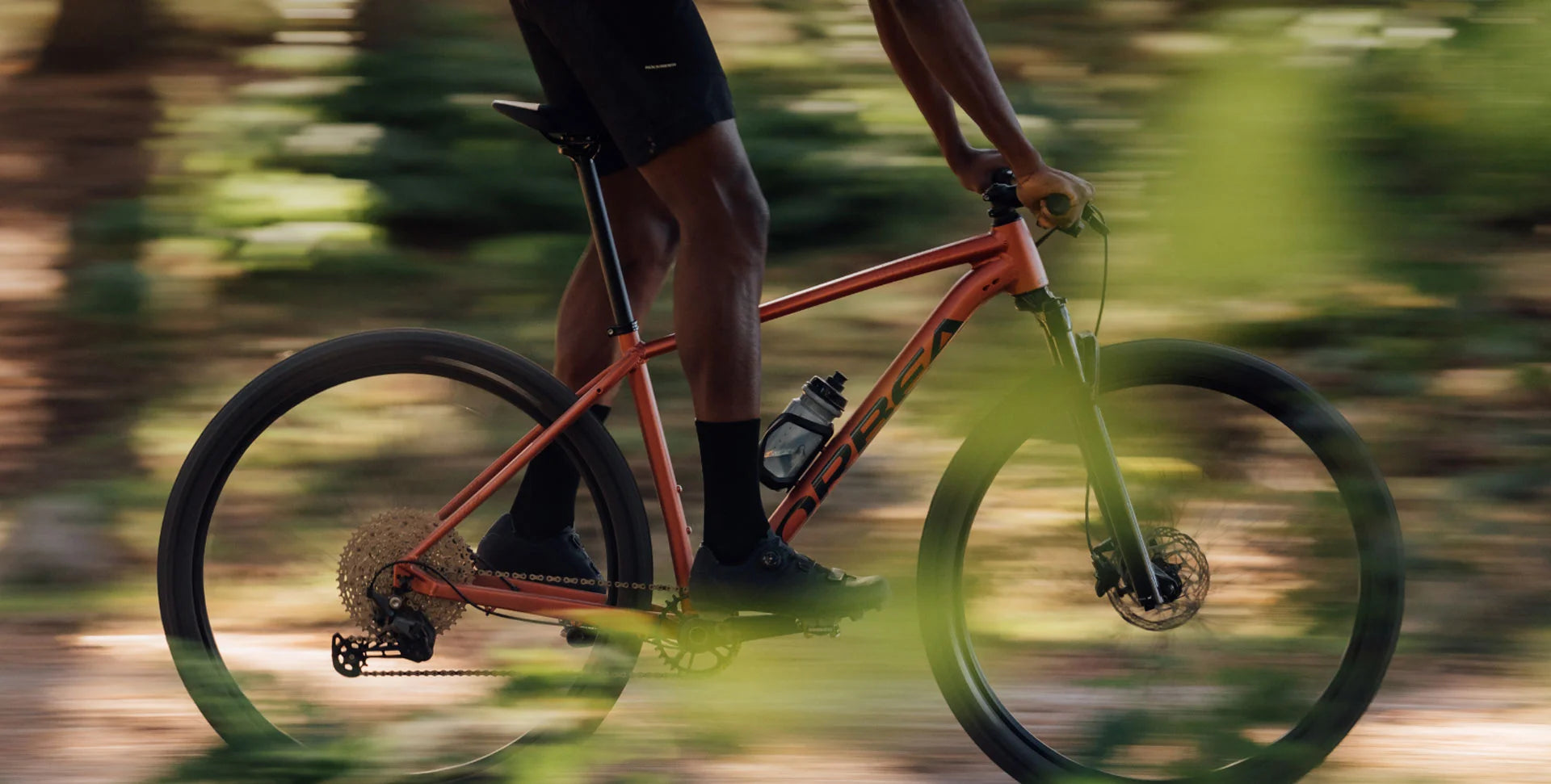Bicicleta MTB ORBEA ONNA 29 20