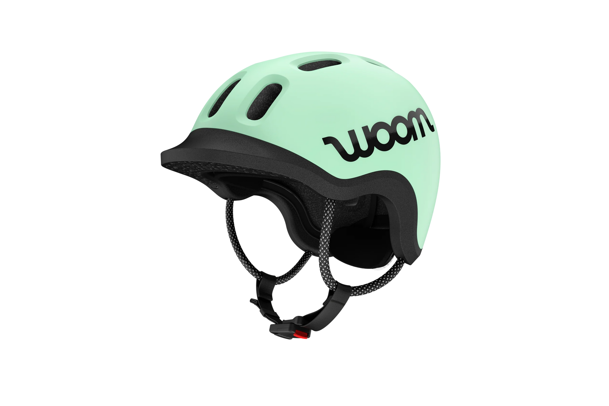 100956 0042 2009 perspective