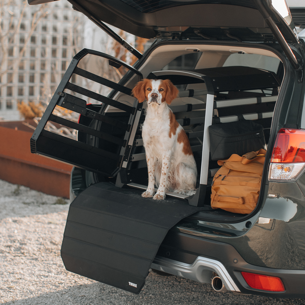 Cușcă auto pentru câini Thule Allax XS (770000) 5