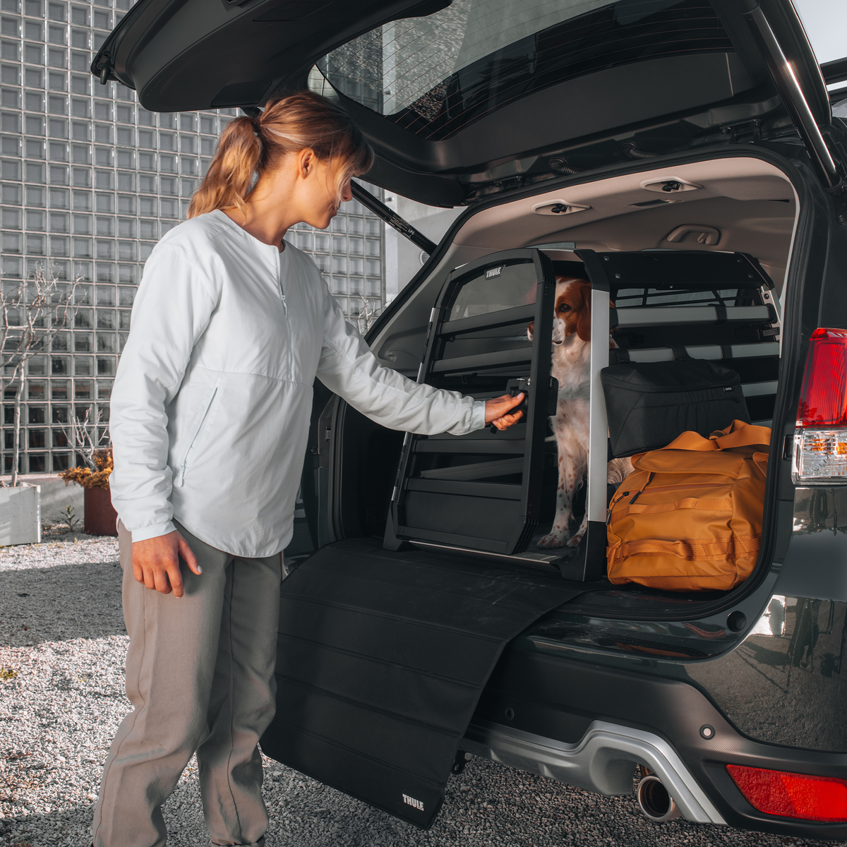 Cușcă auto pentru câini Thule Allax XS (770000) 6