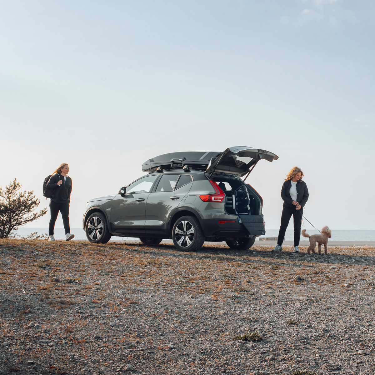 Cușcă auto pentru câini Thule Allax XS (770000) 7