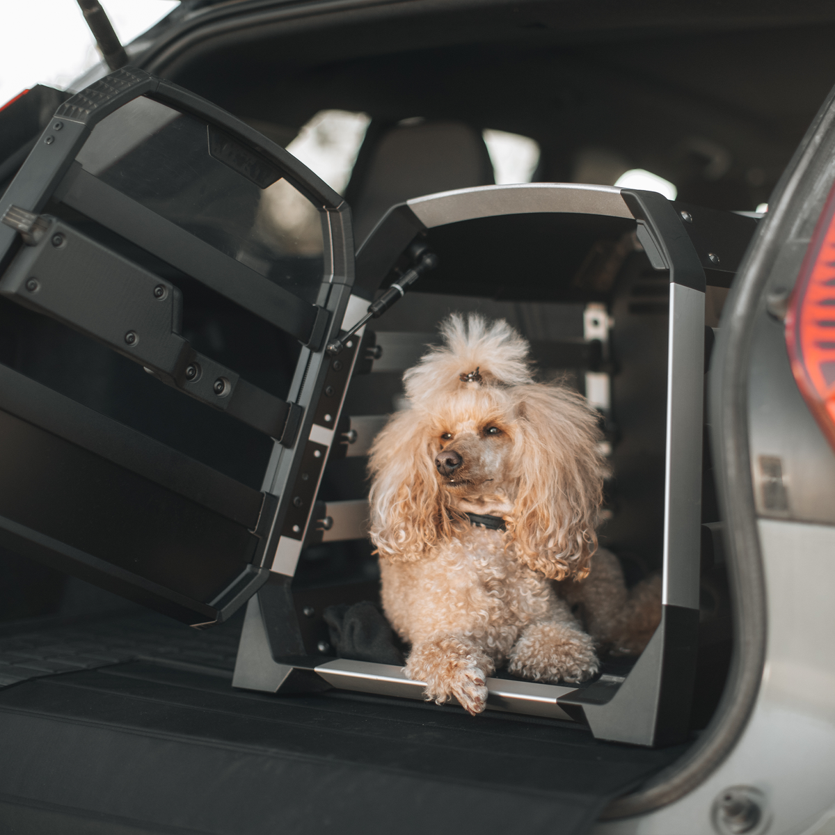 Cușcă auto pentru câini Thule Allax XS (770000) 8
