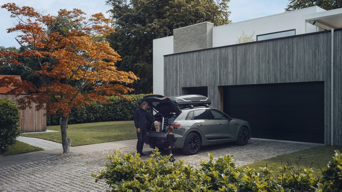Cușcă auto pentru câini Thule Allax double M compact (770022) 9