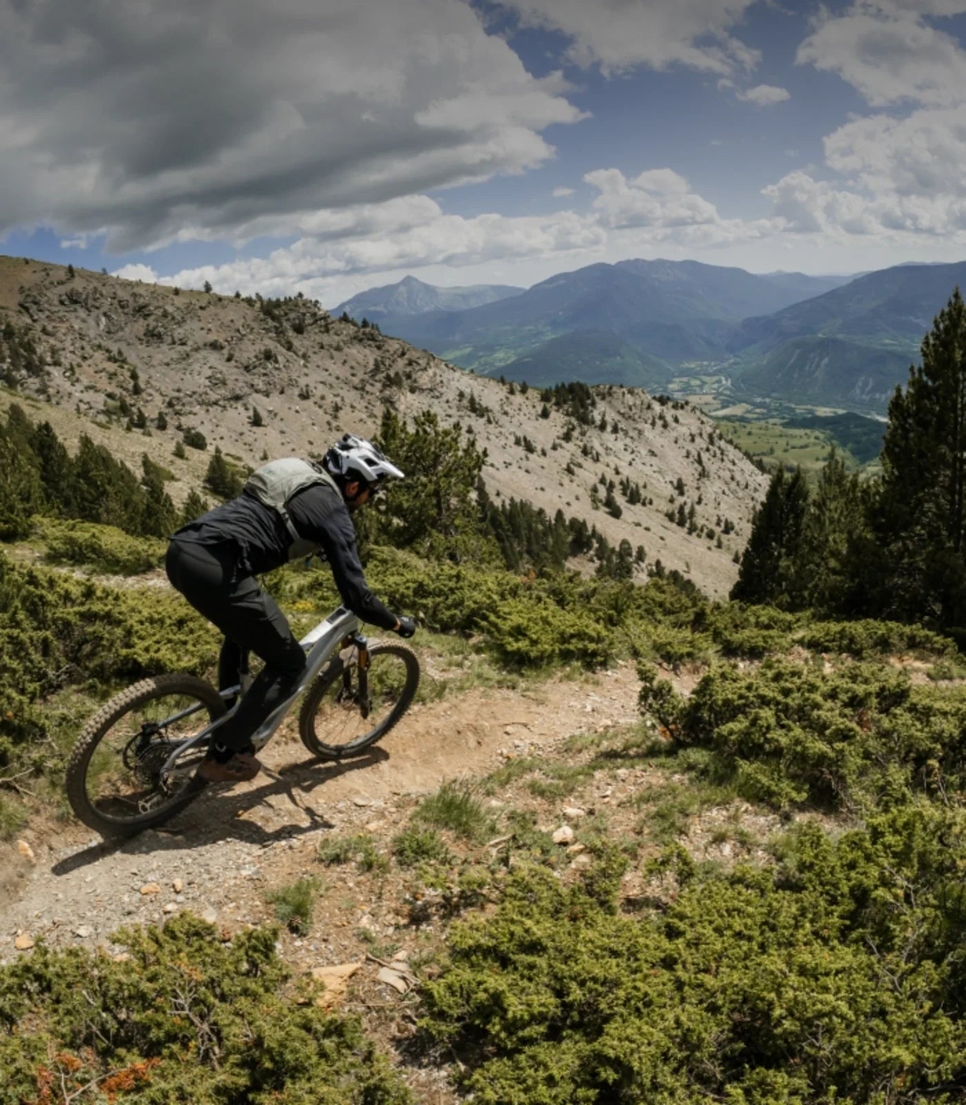 Wild LT — pe traseu 4