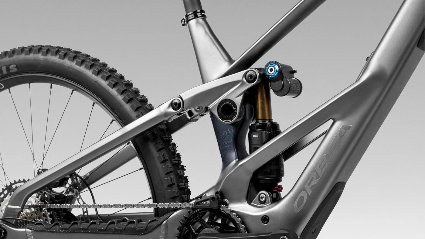 Orbea Wild LT — lifestyle panoramic