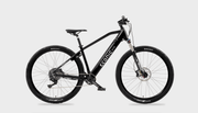 Bicicleta Electrica MTB ECONIC one Cross Country