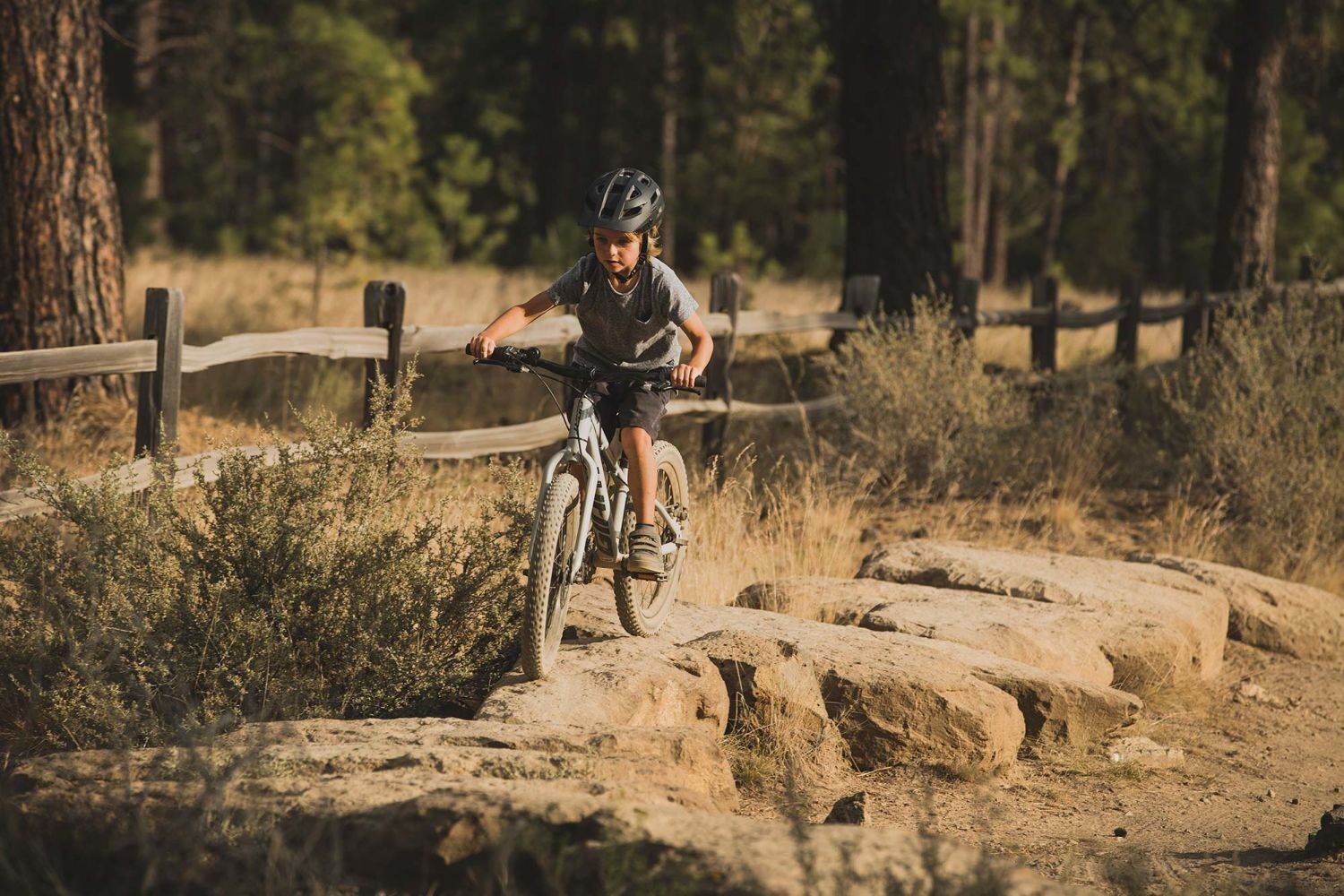 Bicicleta Fat Bike Copii Giant STP 20 Concrete 2021 A5 1
