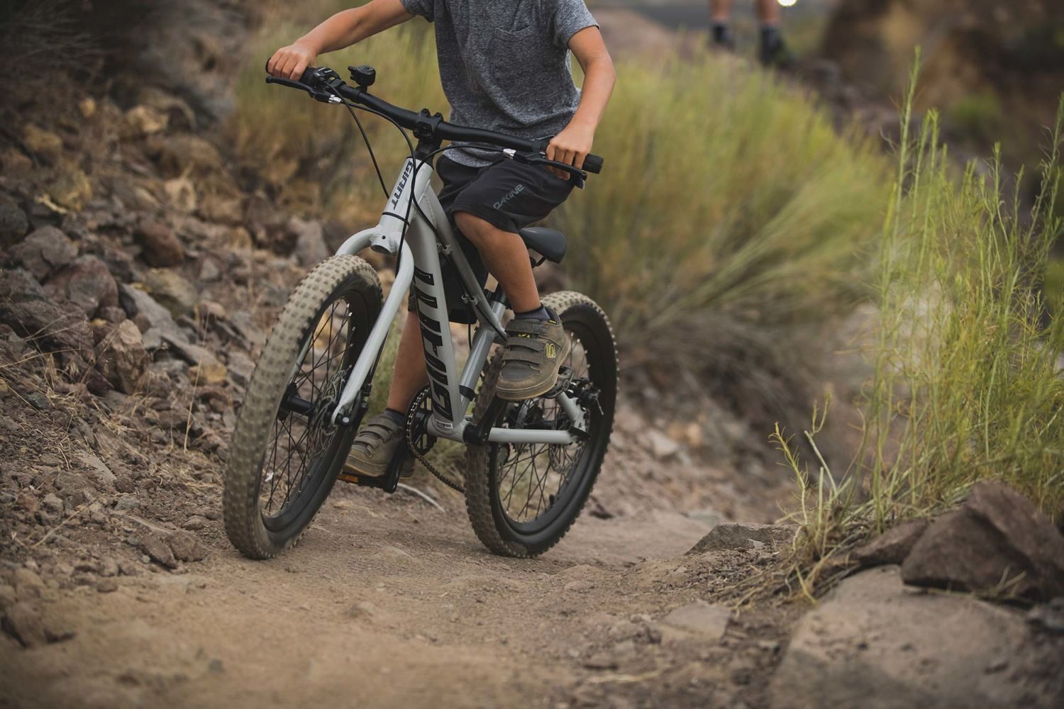 Bicicleta Fat Bike Copii Giant STP 20 Concrete 2021 A6 1
