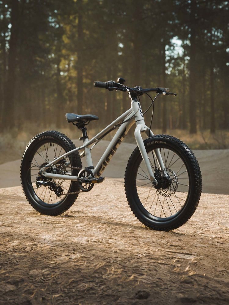 Bicicleta Fat Bike Copii Giant STP 20 Concrete 2021 A7 1
