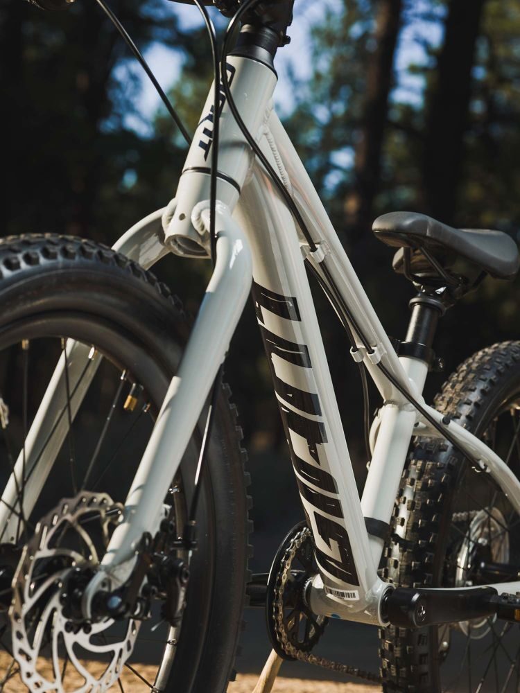 Bicicleta Fat Bike Copii Giant STP 20 Concrete 2021 A8 1