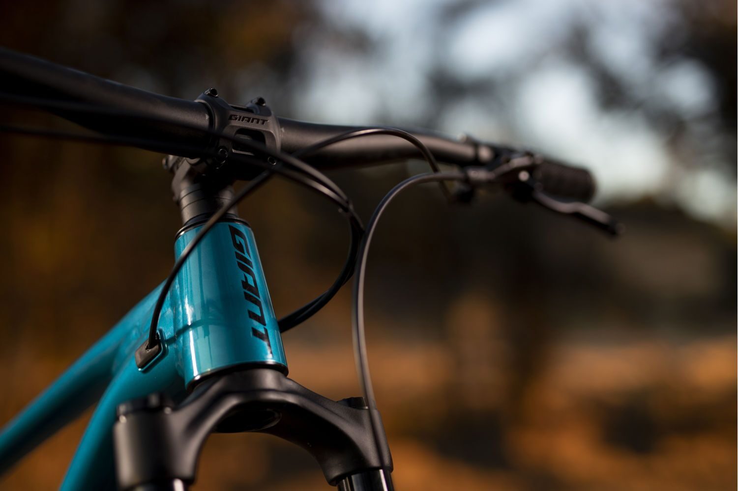 Bicicleta MTB GIANT Fathom 2 29 BlackBlue Ashes 2021 30 4