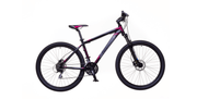 Bicicleta MTB Neuzer Duster Sport H 27.5