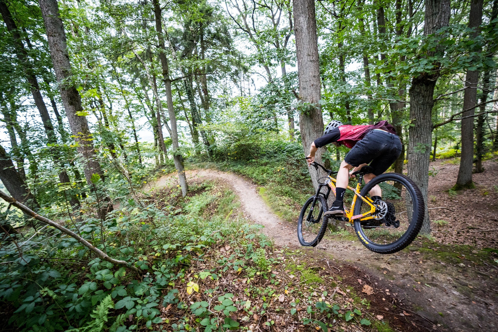 Bicicleta MTB Santa Cruz Chameleon