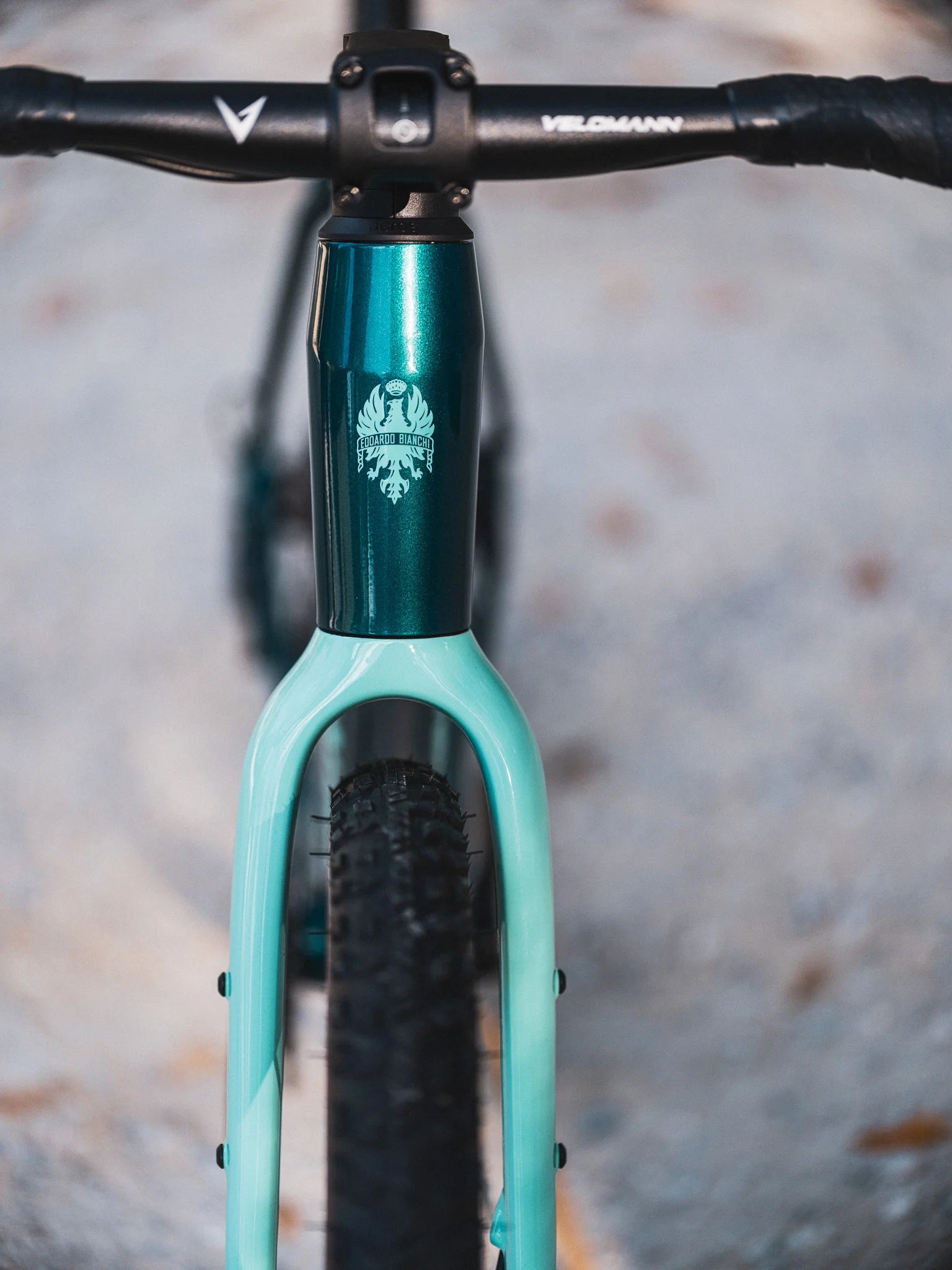 Gravel Bike Bianchi ARCADEX AL – GRX 610 12SP