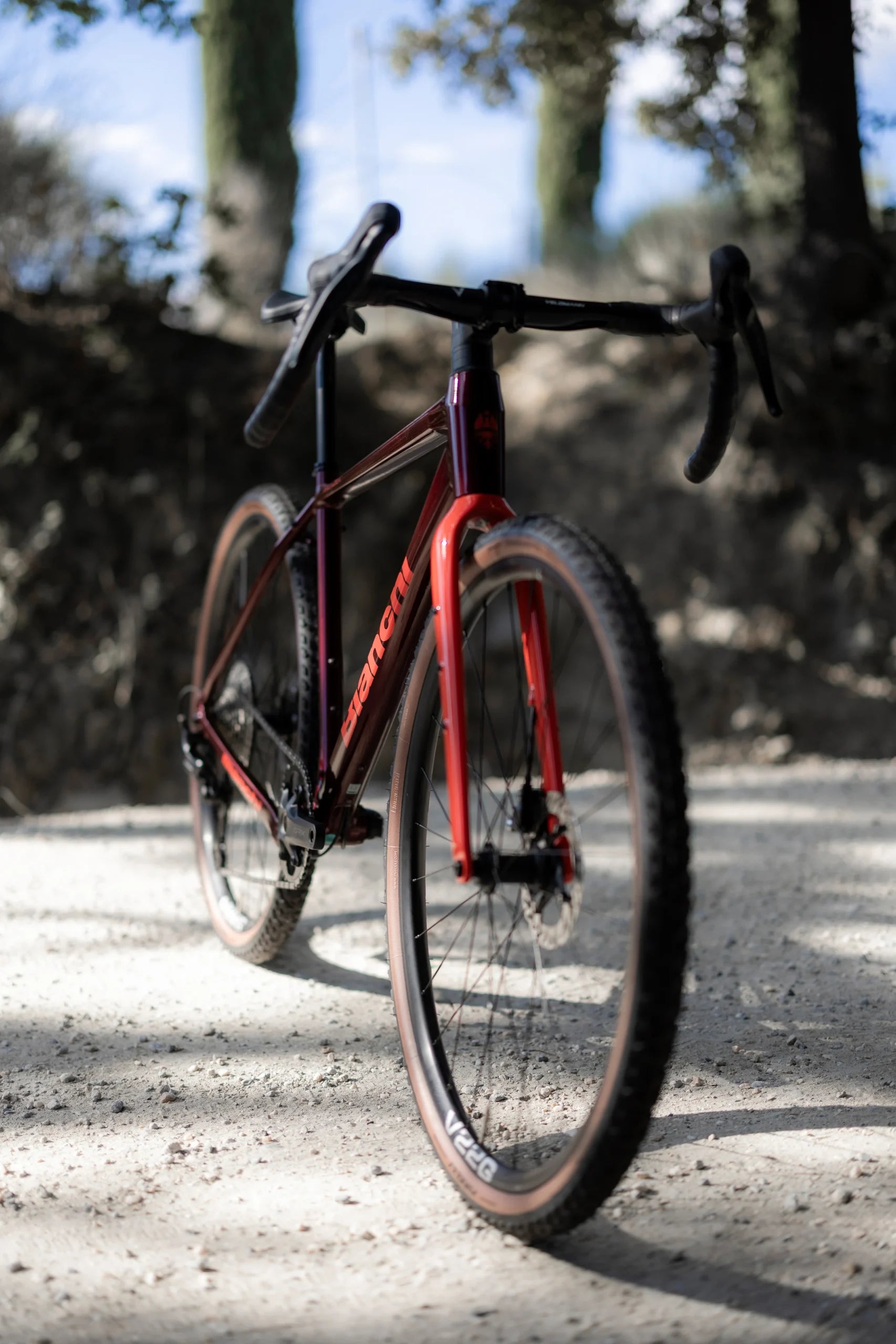 Gravel Bike Bianchi ARCADEX AL – GRX 610 12SP