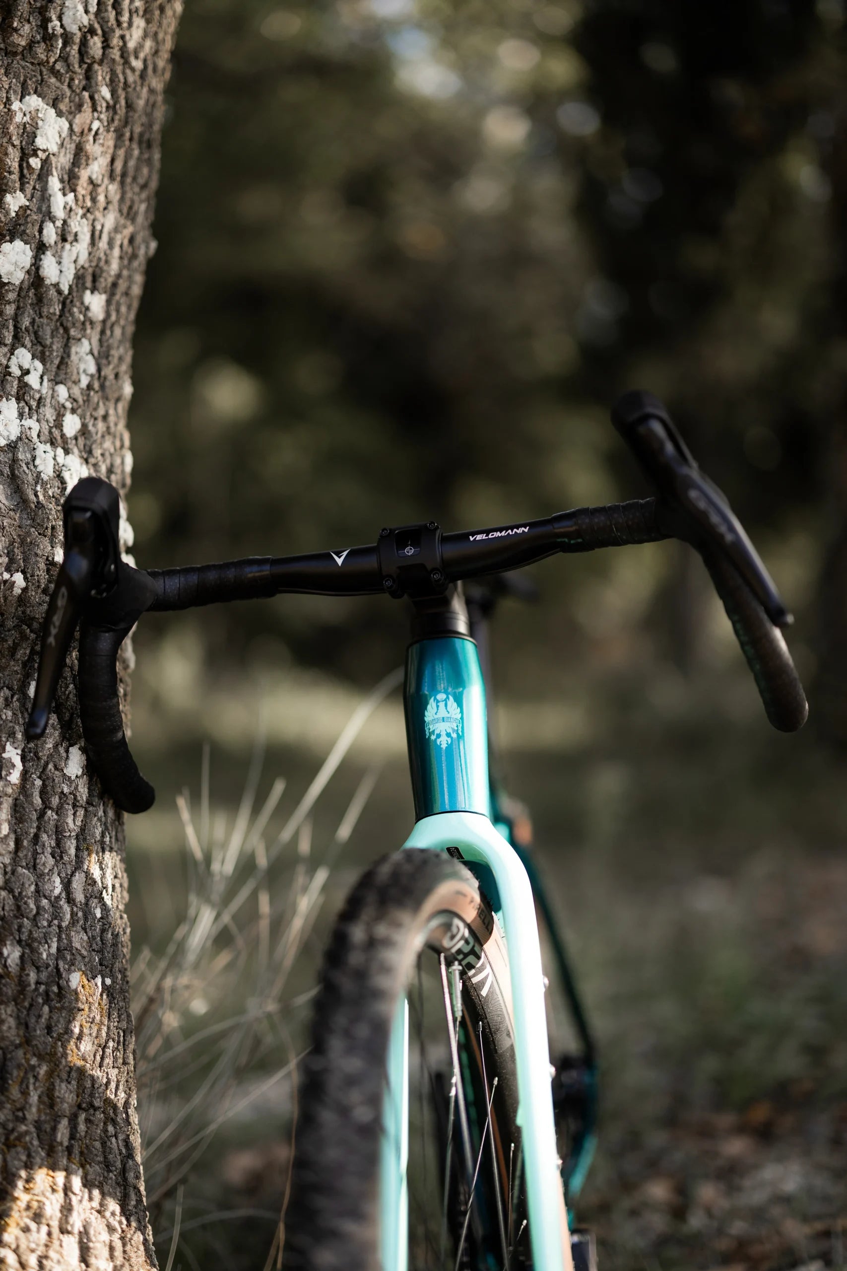Gravel Bike Bianchi ARCADEX AL – GRX 610 12SP
