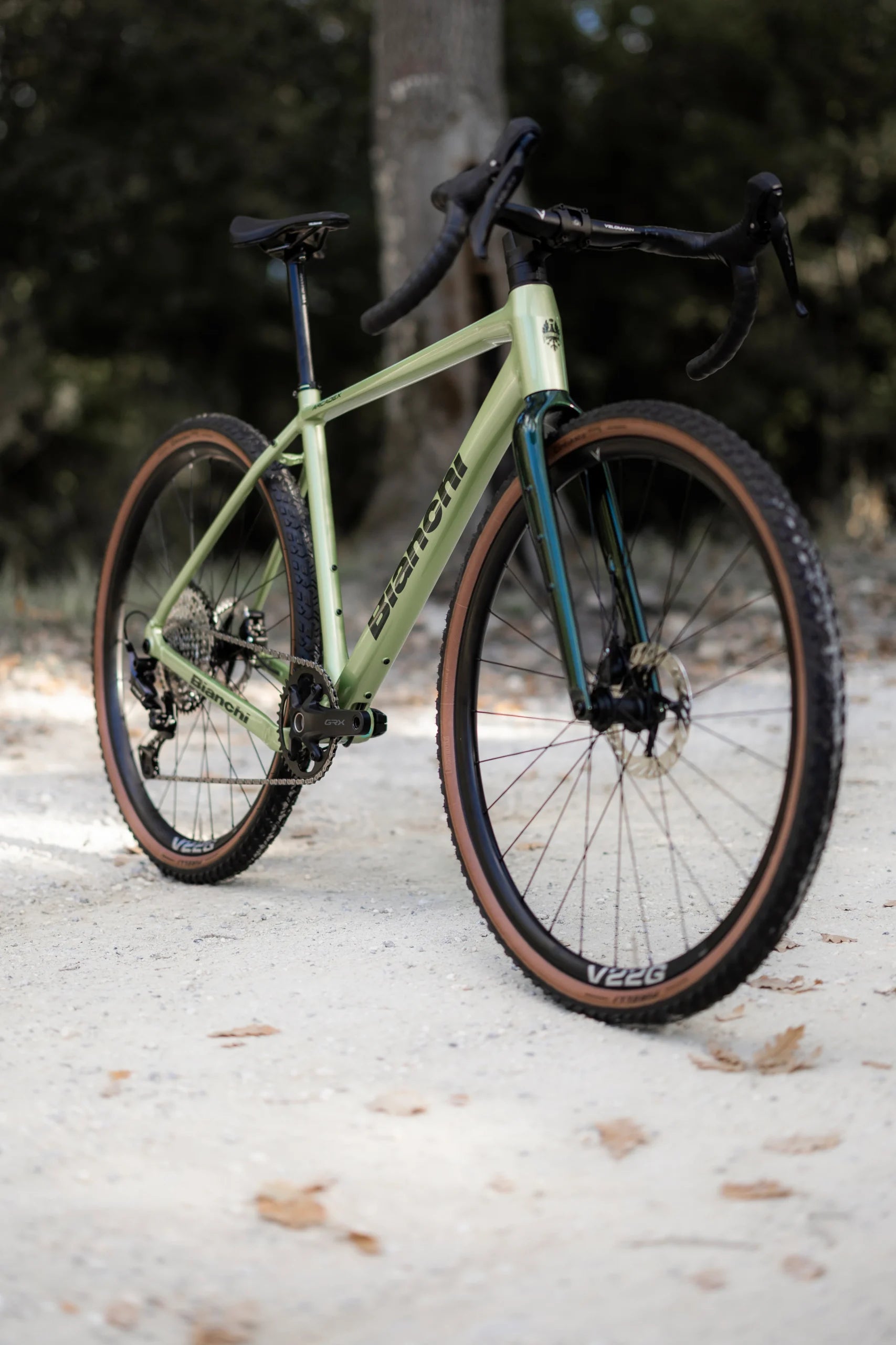 Gravel Bike Bianchi ARCADEX AL – GRX 610 12SP