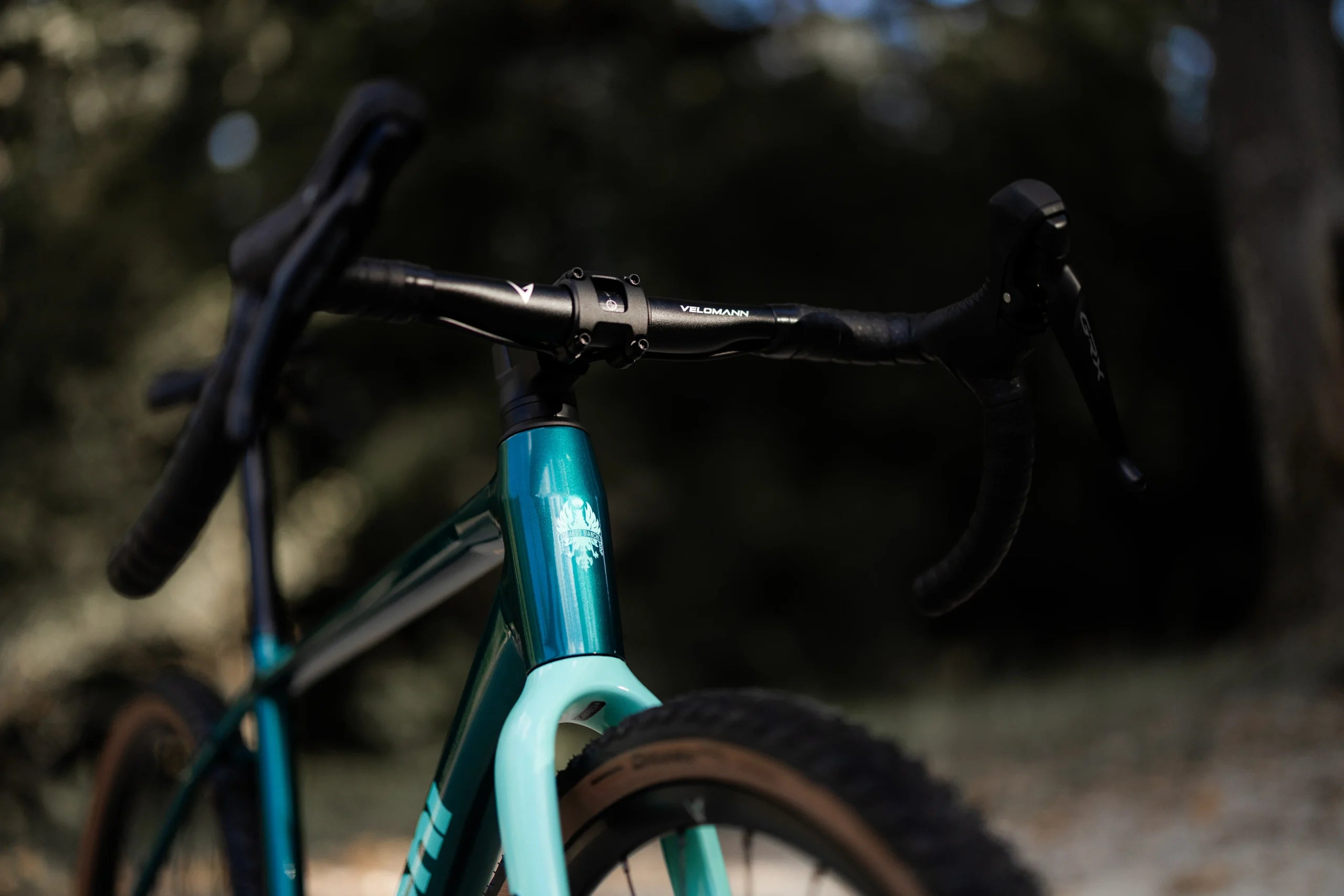 Gravel Bike Bianchi ARCADEX AL – GRX 610 12SP