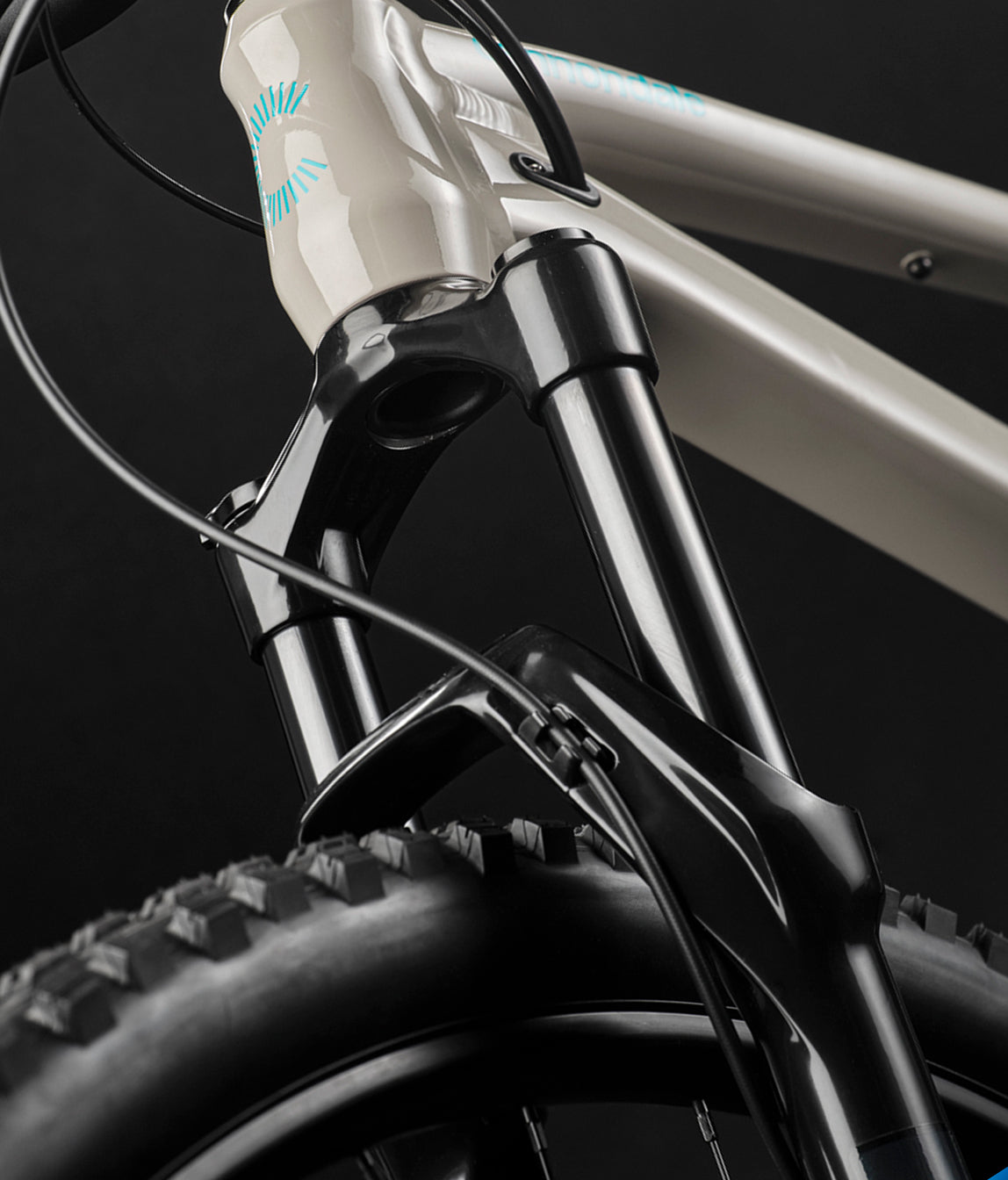 Bicicleta MTB Cannondale HABIT HT 1