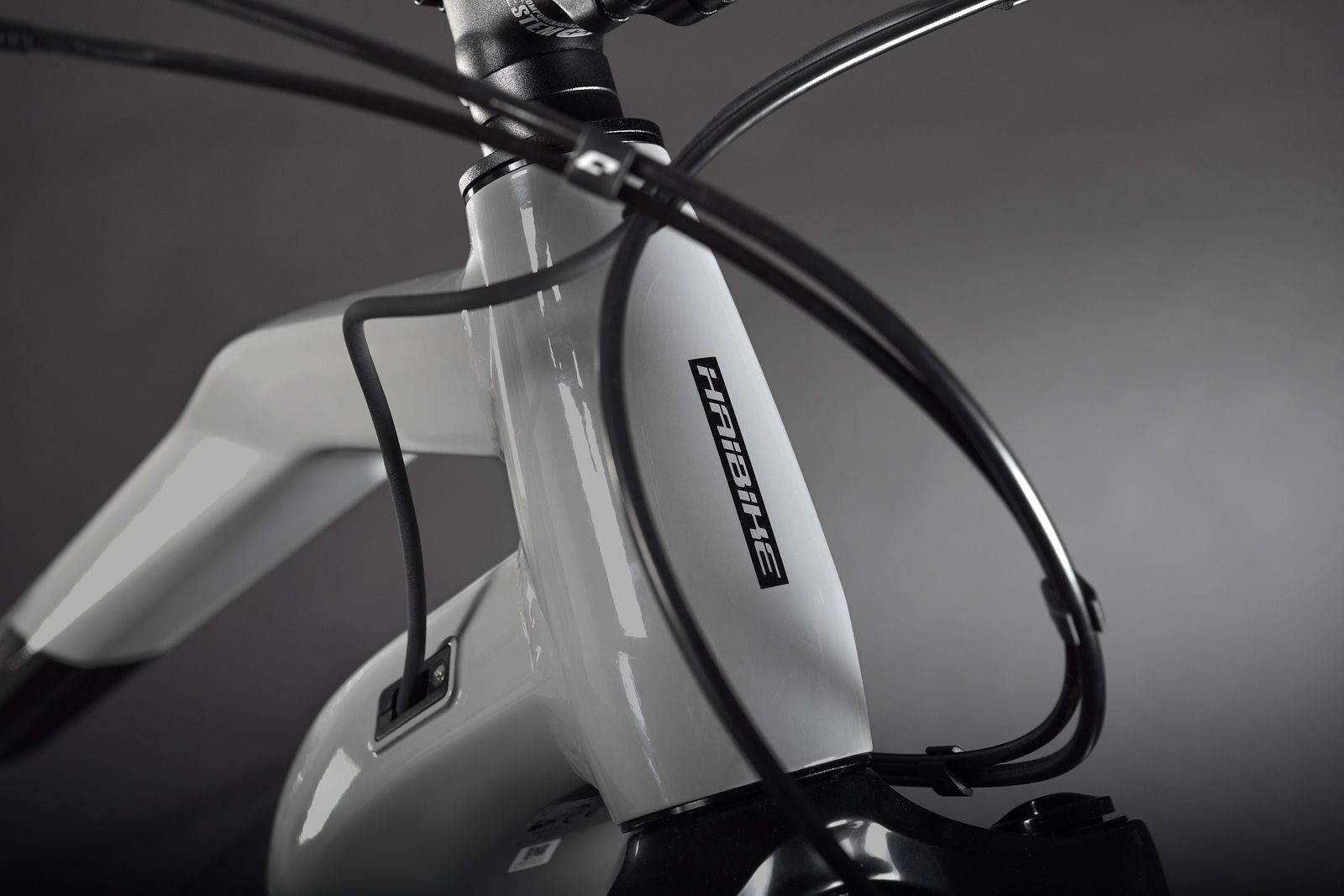 Haibike MY21 Detail Logo HardSeven 9 2