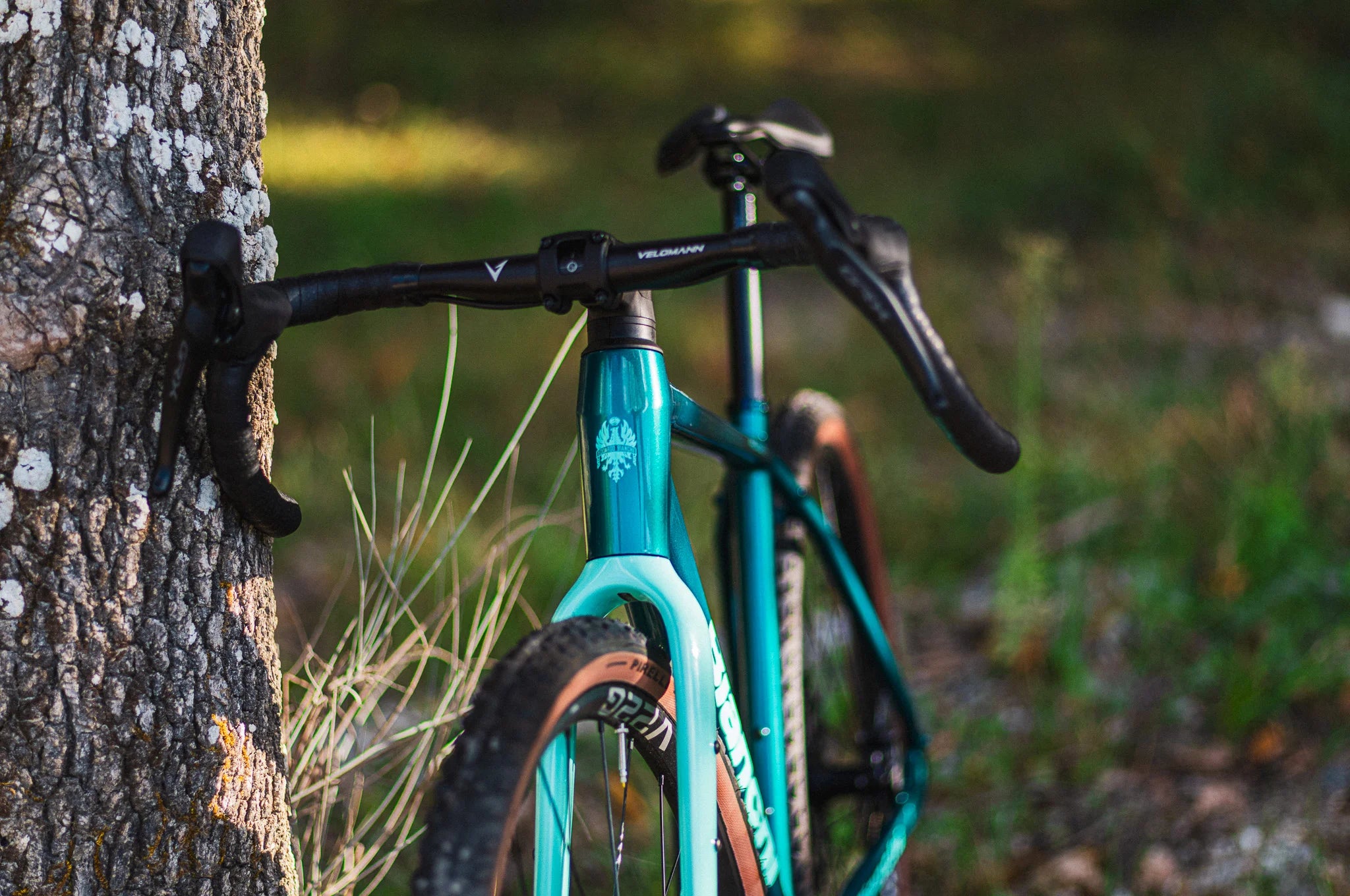 Gravel Bike Bianchi ARCADEX AL – GRX 610 12SP