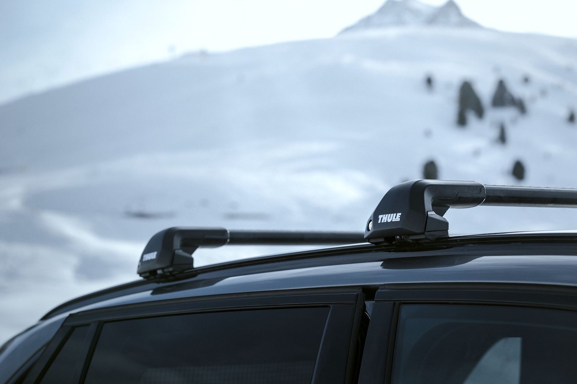 Large Thule Edge Flush Rail LS Austria 190220 15882 1