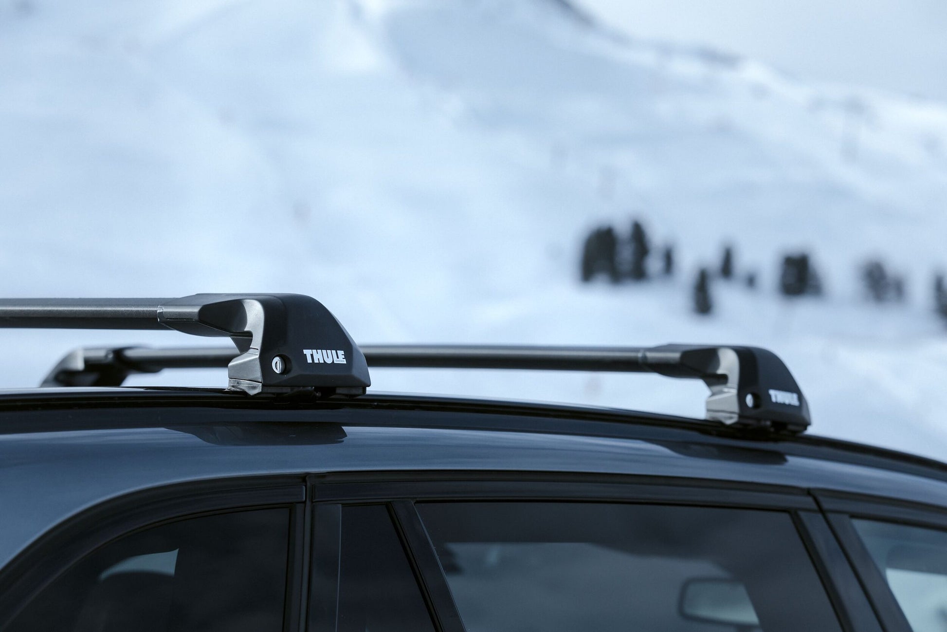 Large Thule Edge Flush Rail LS Austria 190220 15906