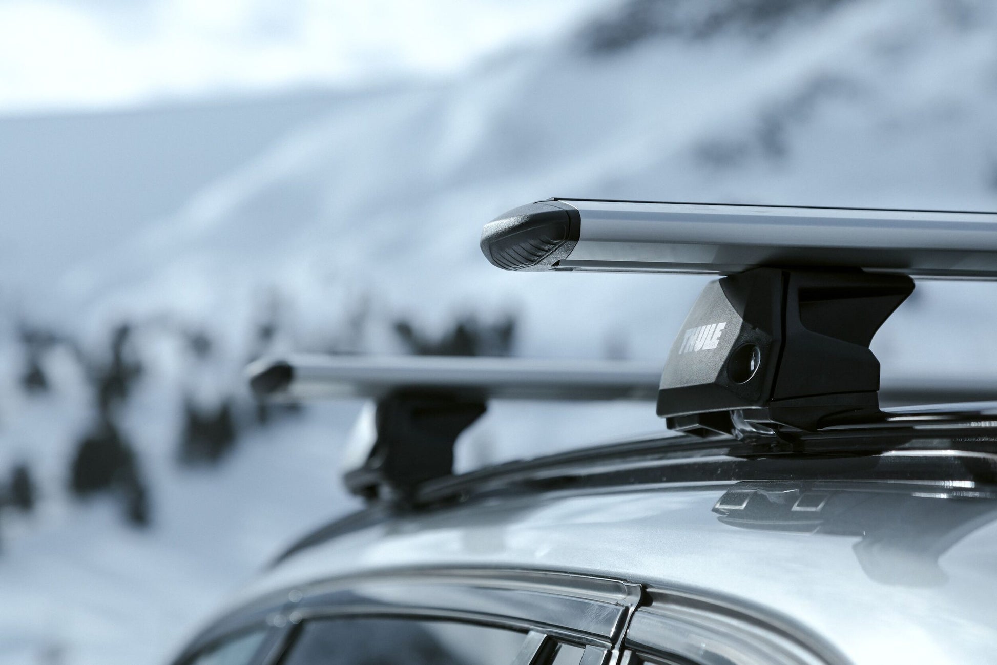 Large Thule Evo Flush Rail LS Austria 190220 16307