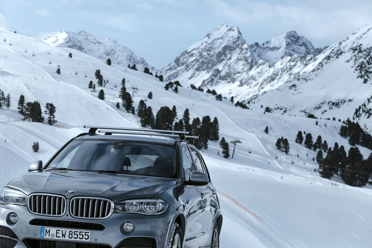 Thule WingBar Evo cu picioare Flush Rail - pe masina, 3