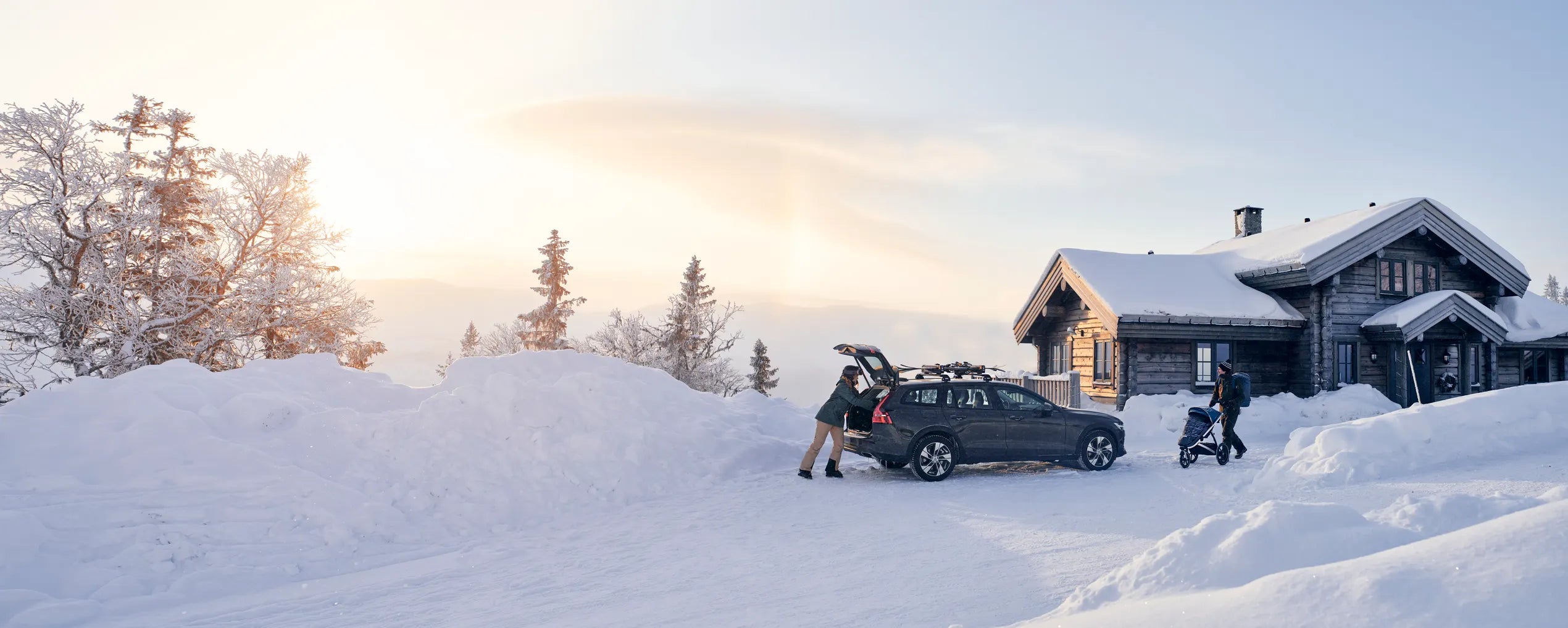 Suport schiuri Thule SnowPack 7326