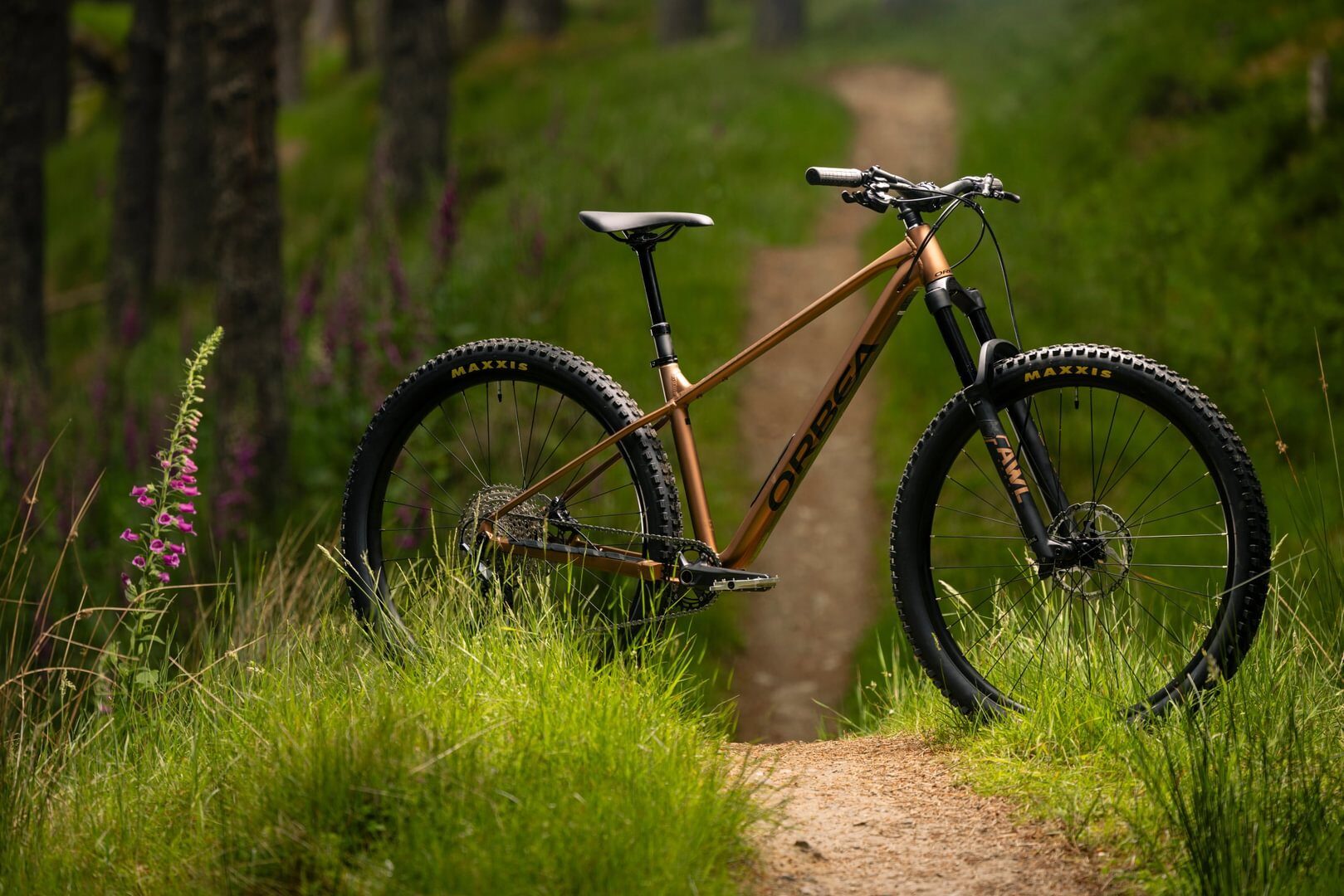 Bicicleta MTB ORBEA LAUFEY H30
