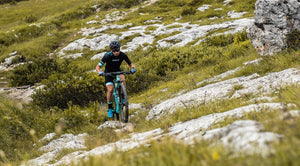 MTB.jpg