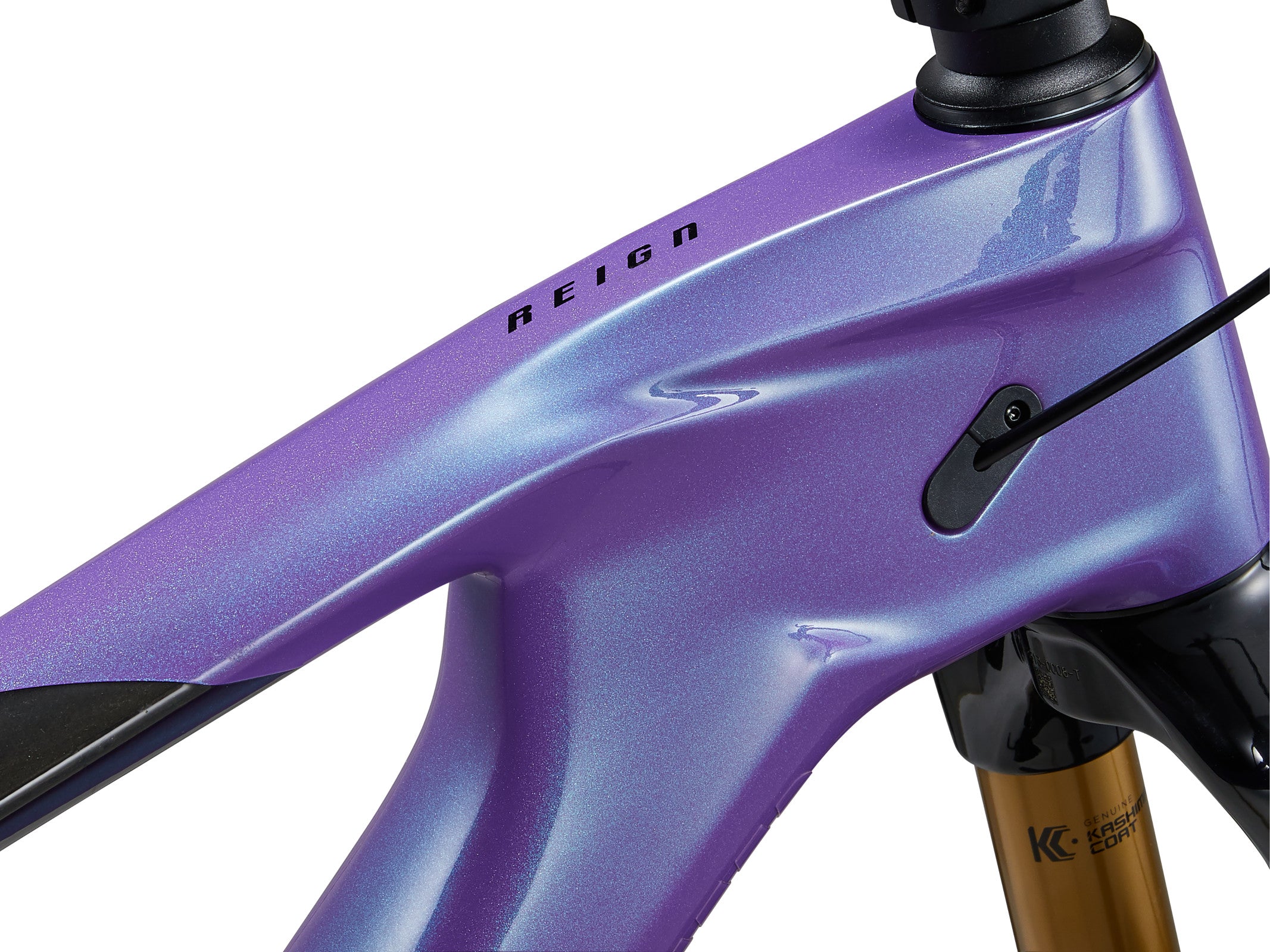 Giant Reign Advanced 1 2024 Digital Blurple