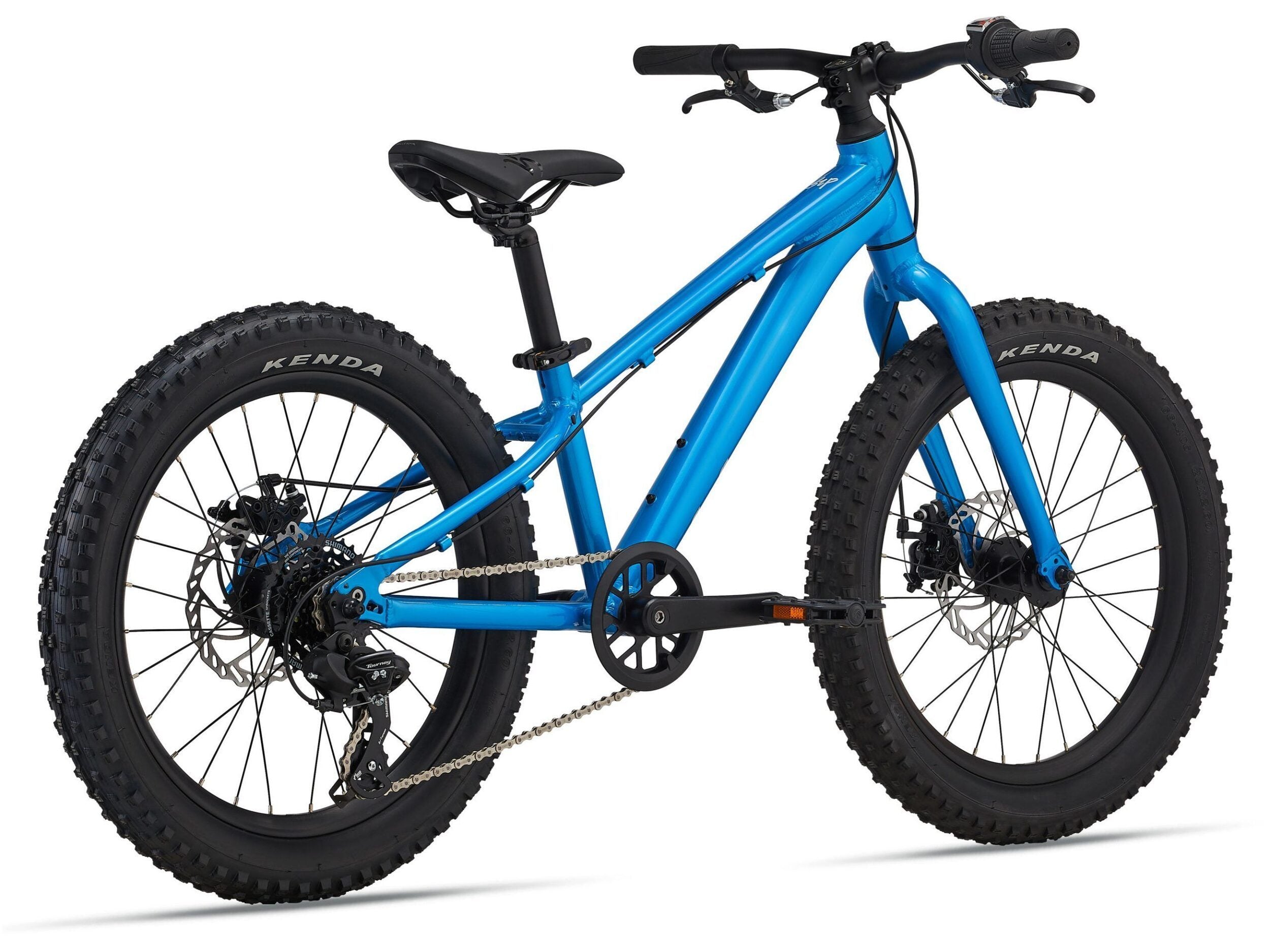 MY24STP20 LIV ColorAAIBlue Rear
