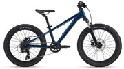 Bicicleta Copii Giant STP FS 20'' Blue Palace