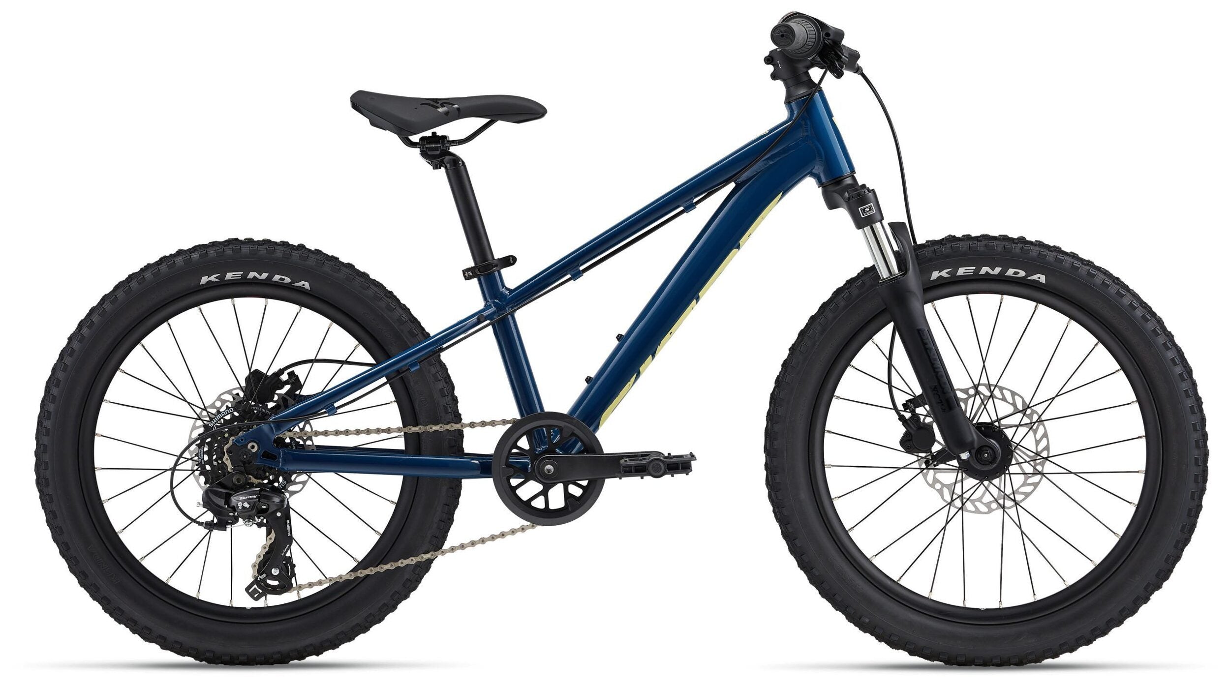 Bicicleta Copii Giant STP FS 20'' Blue Palace