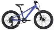 Bicicleta Copii Giant STP FS 20'' Dusted Peri