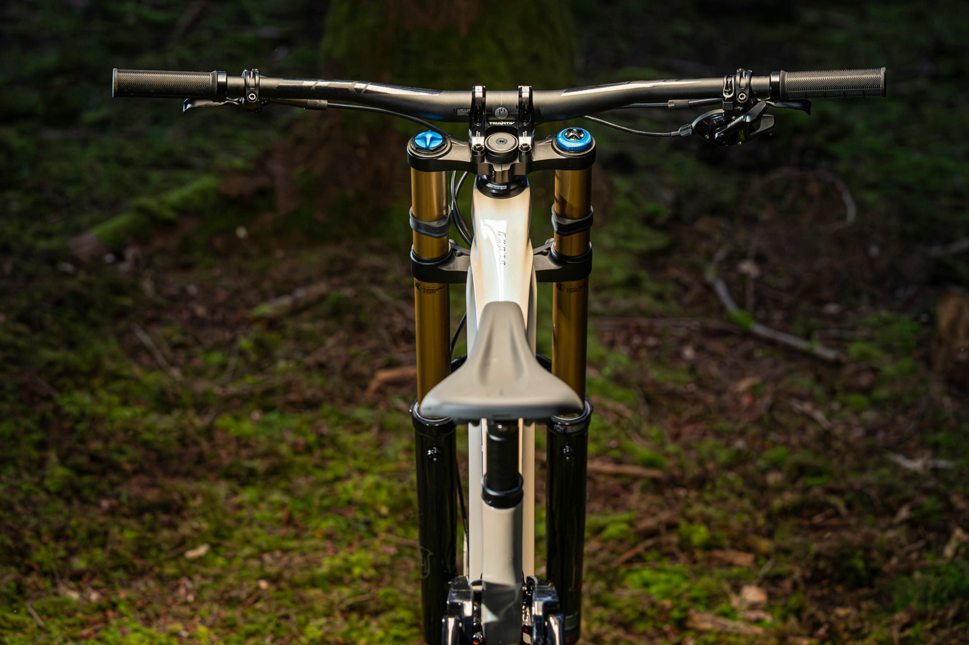 Giant Glory Advanced 2024 - bicicleta de downhill