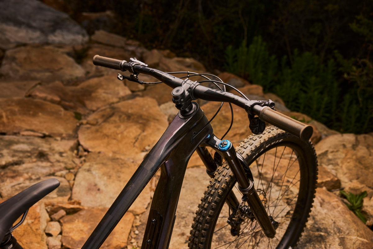Giant Trance X Advanced 1 Arctic Light/Chrome - cockpit