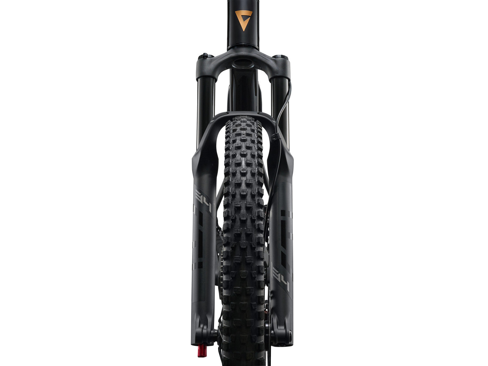 Giant Stance 29 2026 - detaliu D8