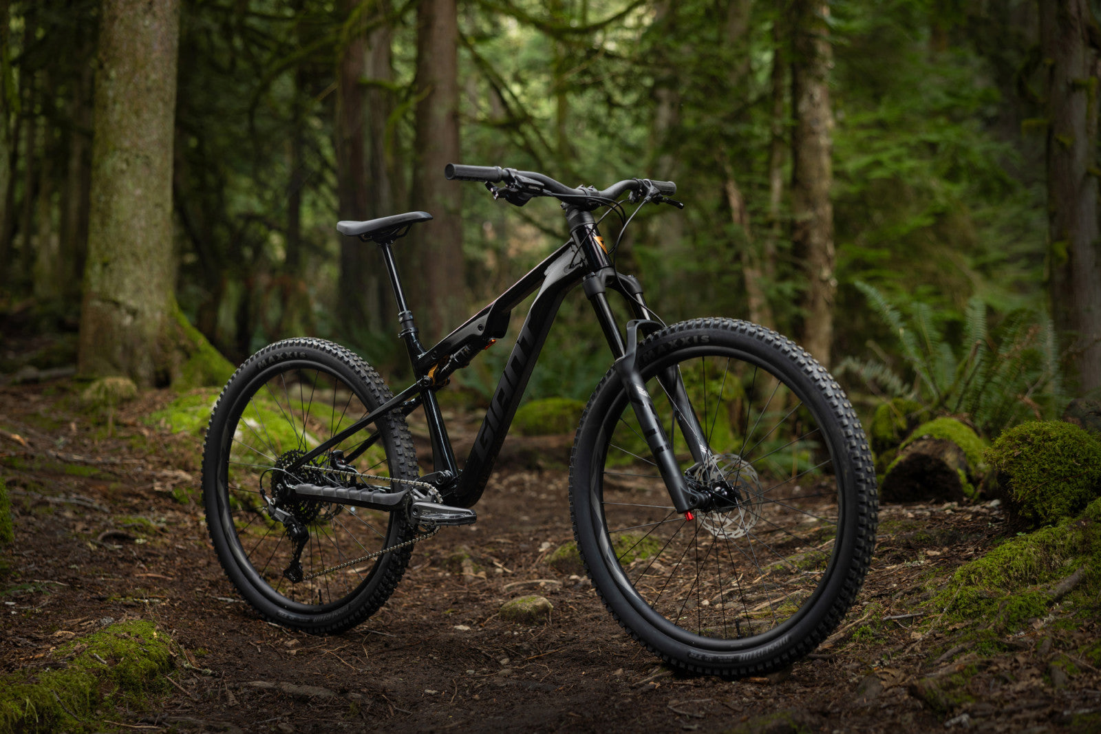 Giant Stance 29 2026 - studio 01