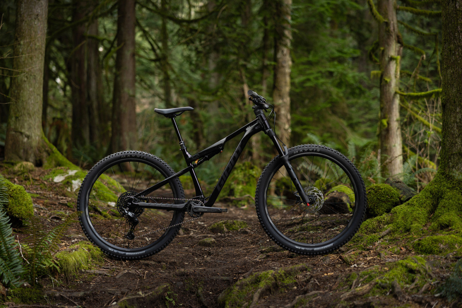 Giant Stance 29 2026 - studio 02