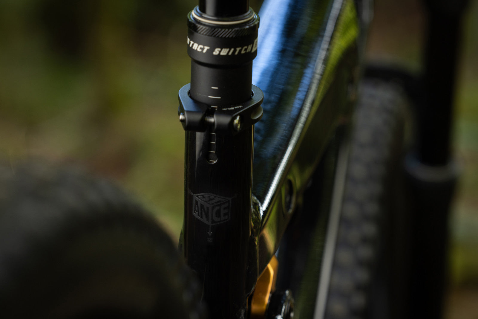 Giant Stance 29 2026 - studio 11