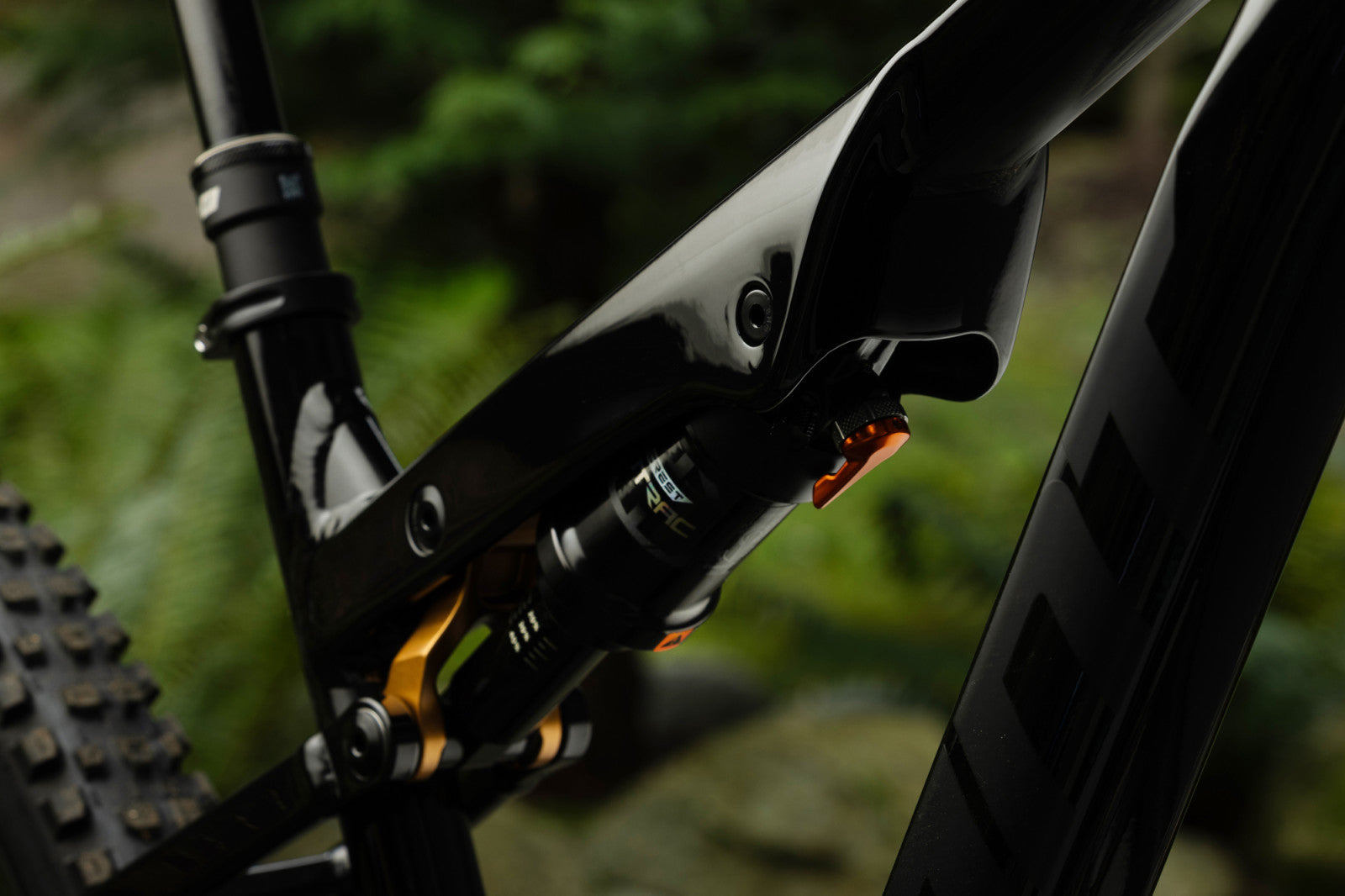 Giant Stance 29 2026 - studio 15