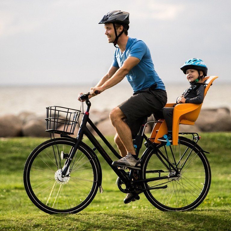 Scaun bicicleta copii Thule RideAlong Lite 5 1