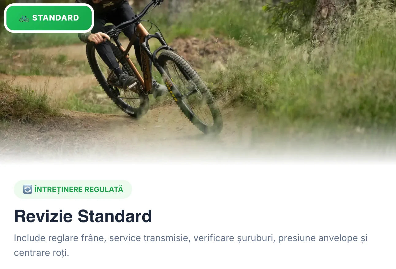 Service Biciclete - Revizie Standard Bicicleta