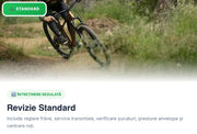 Service Biciclete - Revizie Standard Bicicleta