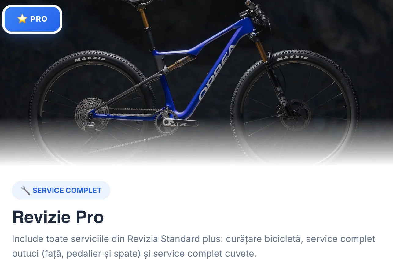 Service Biciclete - Revizie Bicicleta Pro