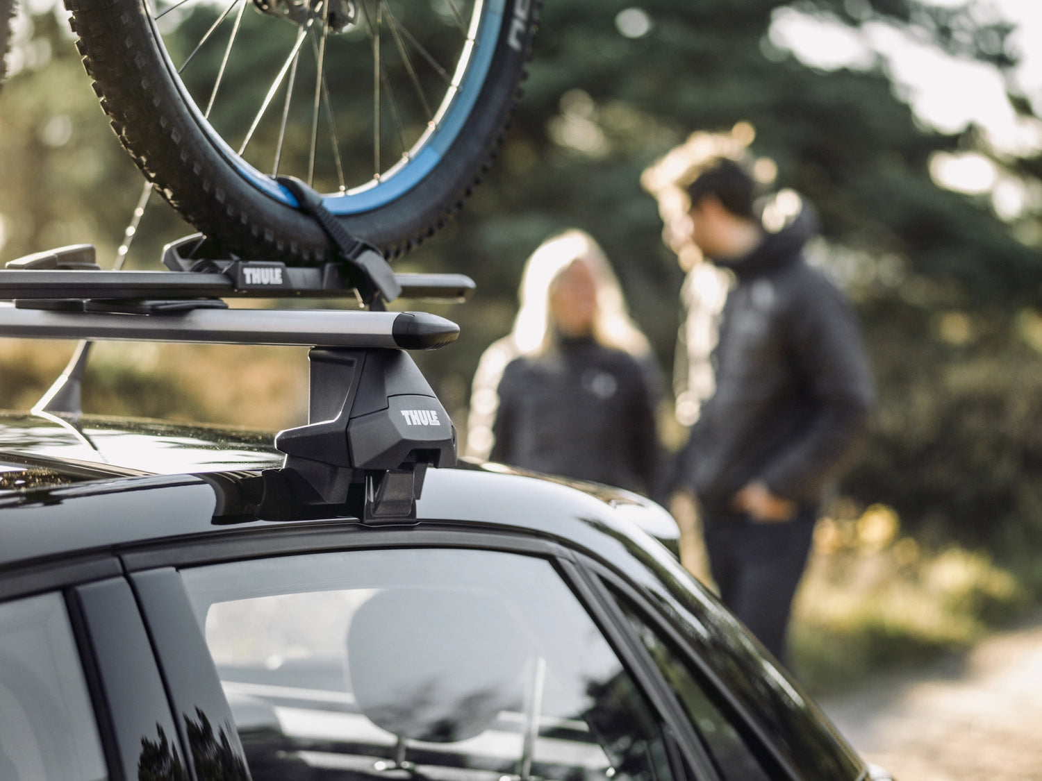 Small Thule Evo Wingbar PIU Ljunghusen Landscape 171113 B0000776